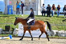 ref. photo 3163362