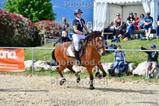 ref. photo 3163371