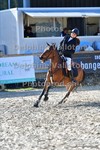 ref. photo 3163477