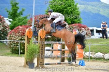ref. photo 3163528