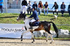 ref. photo 3163541