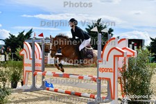 ref. photo 3163550