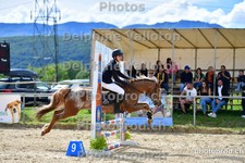 ref. photo 3163554