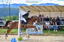 ref. photo 3163632
