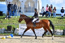 ref. photo 3163875
