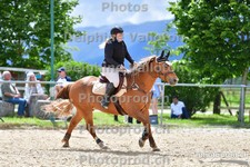 ref. photo 3163894