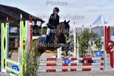 ref. photo 3163904