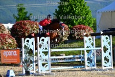 ref. photo 3163934