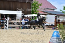 ref. photo 3163952