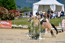 ref. photo 3163962