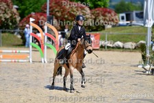 ref. photo 3164003