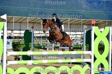 ref. photo 3164049