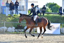 ref. photo 3164050