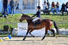 ref. photo 3164051