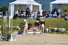 ref. photo 3164094