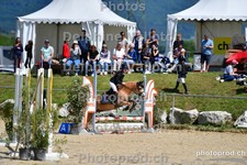 ref. photo 3164103