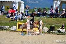 ref. photo 3164104