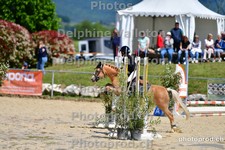 ref. photo 3164108