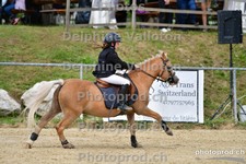 ref. photo 3164121