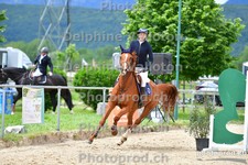 ref. photo 3164134