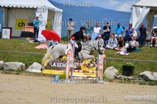 ref. photo 3164183