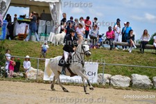 ref. photo 3164184
