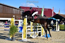 ref. photo 3164216