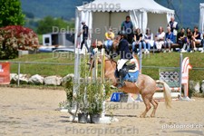 ref. photo 3164298