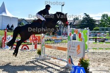 ref. photo 3164554