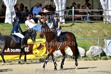 ref. photo 3164628
