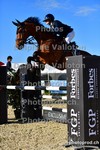 ref. photo 3164795