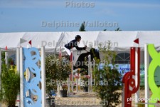 ref. photo 3164902