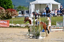 ref. photo 3164976