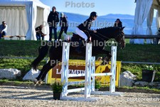 ref. photo 3164981