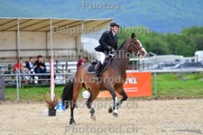 ref. photo 3165027