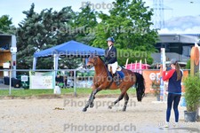 ref. photo 3165051