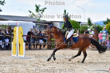 ref. photo 3165055