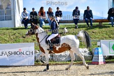 ref. photo 3165095