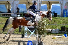 ref. photo 3165102