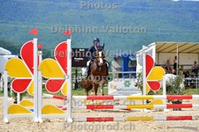 ref. photo 3165117