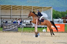 ref. photo 3165129