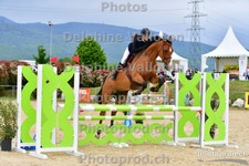 ref. photo 3165132