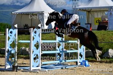 ref. photo 3165166