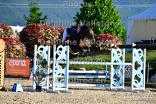 ref. photo 3165173
