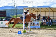 ref. photo 3165346