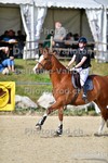 ref. photo 3165357