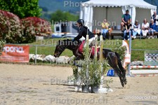 ref. photo 3165409