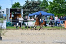 ref. photo 3165477