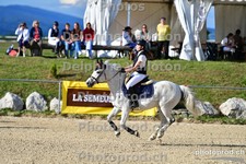 ref. photo 3165502