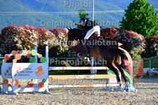 ref. photo 3165542